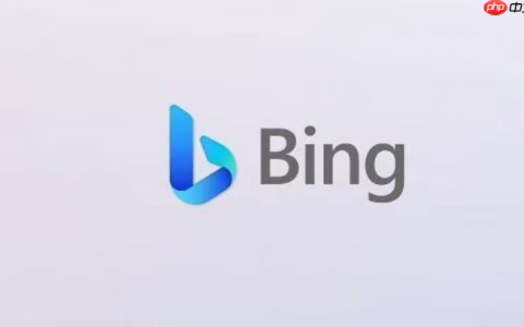 bing网页版入口 Bing官方网页版登录访问通道