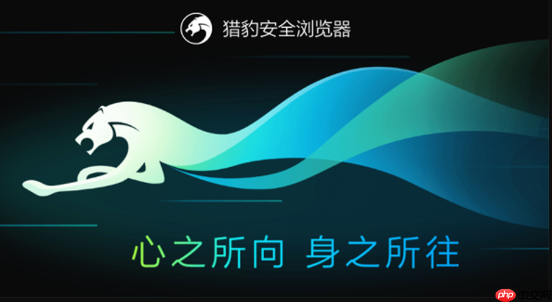 猎豹浏览器最新官方主页网址 猎豹浏览器官网链接直达首页入口