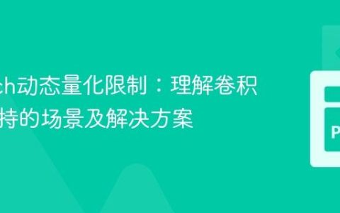 PyTorch动态量化限制：理解卷积层不支持的场景及解决方案