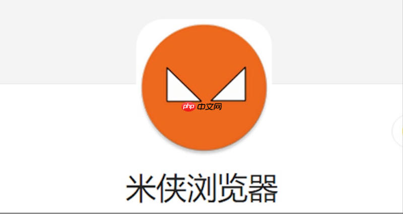 米侠浏览器打不开PDF文件怎么办 米侠浏览器PDF阅读功能修复教程