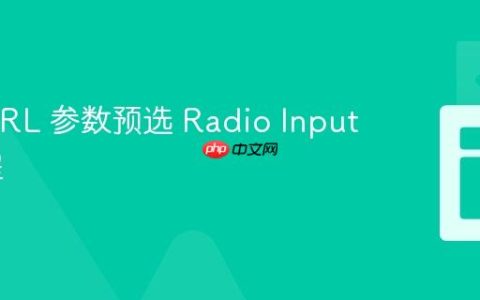 使用 URL 参数预选 Radio Input 的教程