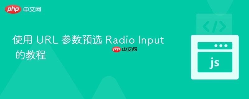 使用 URL 参数预选 Radio Input 的教程