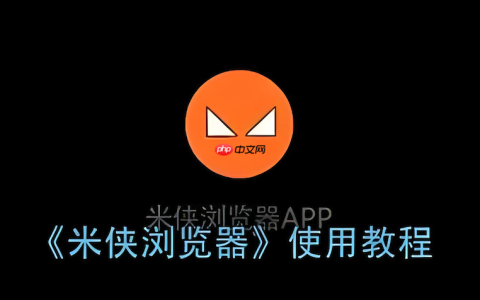 米侠浏览器标签页无法关闭怎么办 米侠浏览器标签页关闭异常解决方法