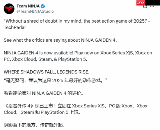 《忍龙4》媒体赞誉宣传片公开！2025最佳动作游戏