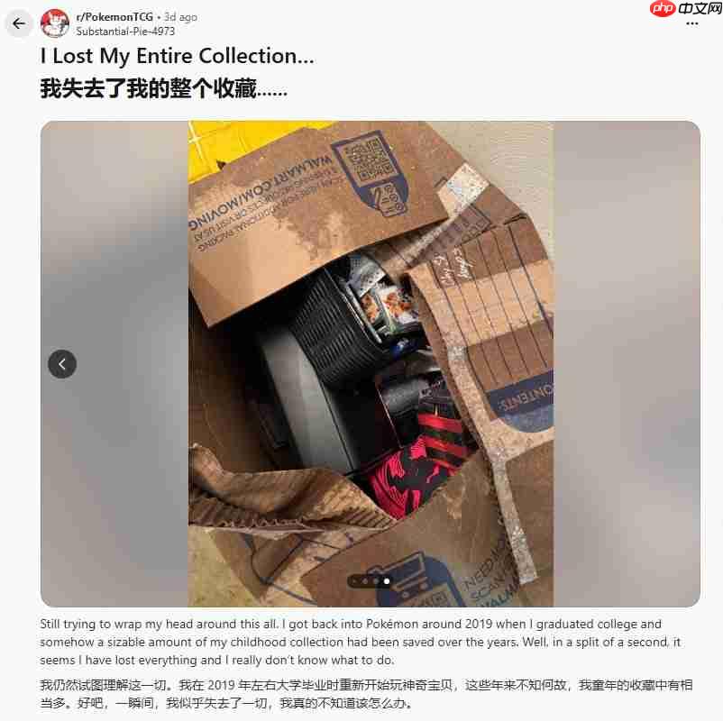 倒霉网友万元宝可梦卡牌被淹 保险理赔仅”按纸板称重”