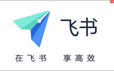 飞书账号密码无法重置怎么办 飞书账号安全与密码重置方法