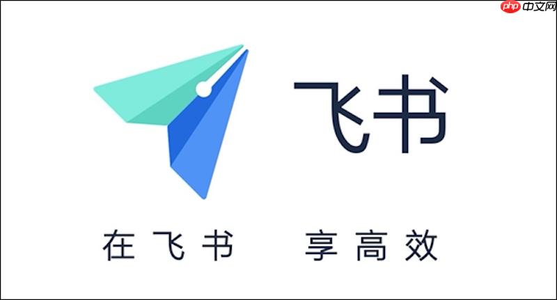 飞书账号密码无法重置怎么办 飞书账号安全与密码重置方法