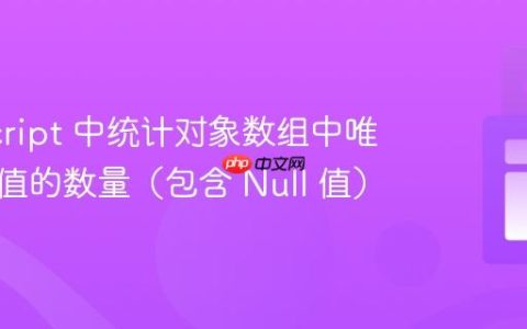 JavaScript 中统计对象数组中唯一属性值的数量（包含 Null 值）