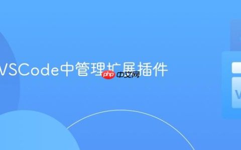 如何在VSCode中管理扩展插件