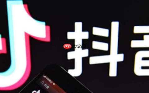 抖音账号登录异常怎么办 抖音登录异常排查与修复技巧