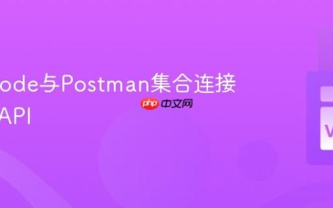 将VSCode与Postman集合连接以测试API