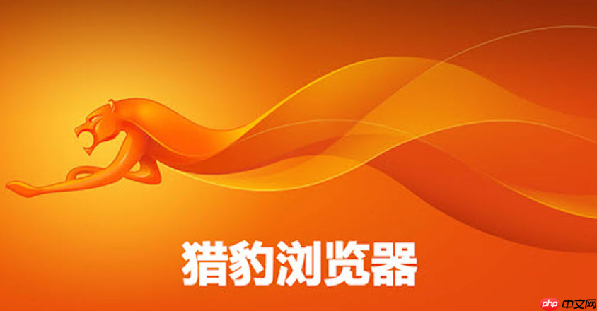 猎豹浏览器官方网址是什么 猎豹浏览器官网主页快速访问入口