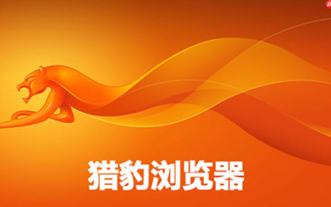 猎豹浏览器官方网站直达地址 猎豹浏览器平台链接官方直达主页