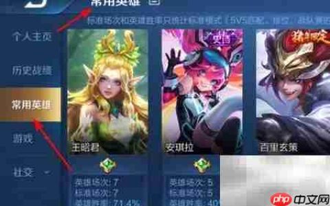 王者荣耀美化包使用指南