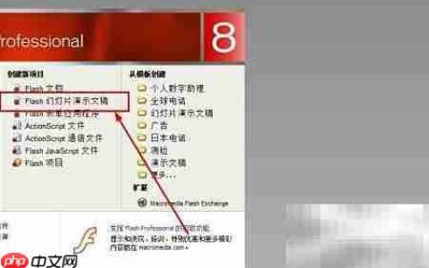 Flash课件制作经典教程