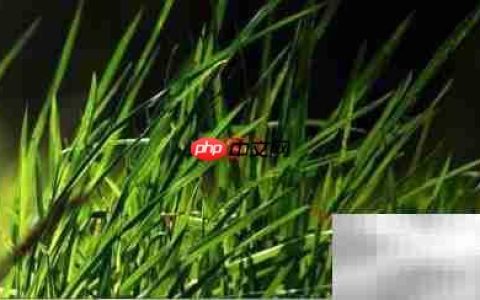 漏洞修复设置方法详解