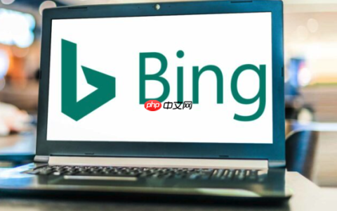 Bing搜索官方访问入口网址 Bing搜索官网直达链接官方首页