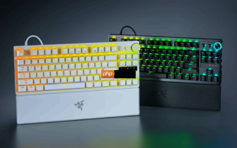 1999 元雷蛇猎魂光蛛 V3 专业版 8KHz 系列键盘发布：第二代 Razer 模拟光轴，人造皮革腕托 + 双色注塑 PBT 键帽