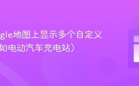 在Google地图上显示多个自定义标记（如电动汽车充电站）