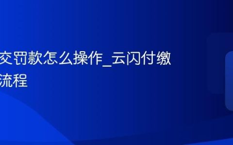 云闪付交罚款怎么操作_云闪付缴纳罚款流程