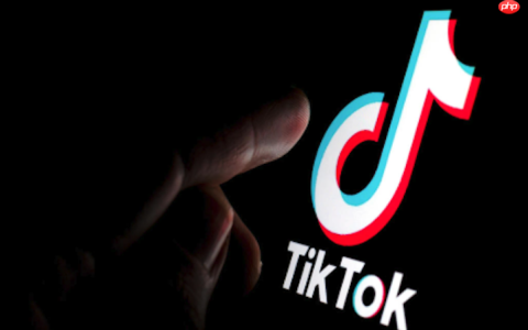 TikTok评论无法发送怎么办 TikTok评论功能修复与操作技巧