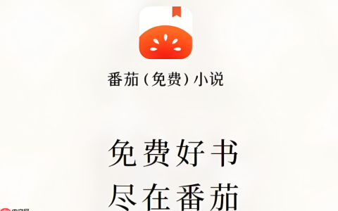 番茄免费小说缓存的小说在哪个文件夹_番茄免费小说缓存文件夹位置说明