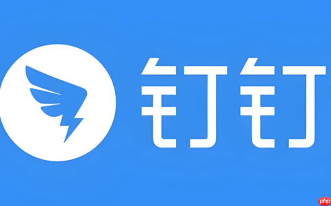 钉钉视频无法全屏怎么办 钉钉视频画面优化与设置技巧