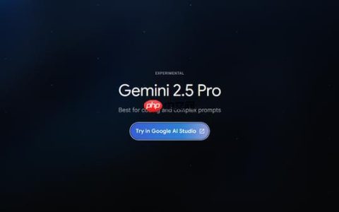 Gemini2.5官方网站链接_Gemini2.5在线使用平台网址