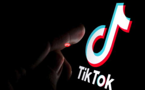 TikTok搜索不到笔记怎么办 TikTok笔记搜索优化与操作方法