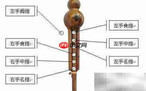 甜蜜蜜葫芦丝简明教程