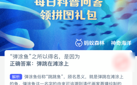 弹涂鱼之所以得名是因为