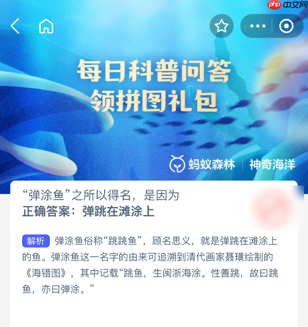 弹涂鱼之所以得名是因为