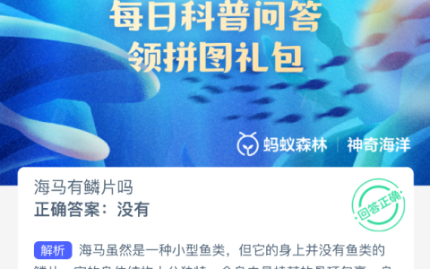 海马有鳞片吗