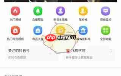 《飞瓜数据》使用教程