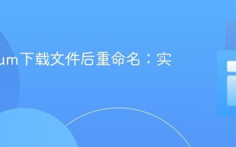 Selenium下载文件后重命名：实用教程