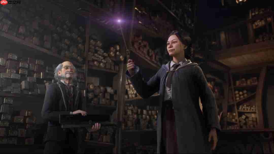 招聘信息暗示《霍格沃茨之遗2》或将转型为MMORPG