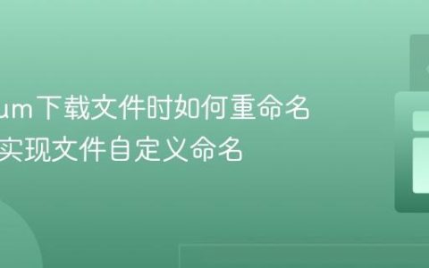 Selenium下载文件时如何重命名：两步实现文件自定义命名
