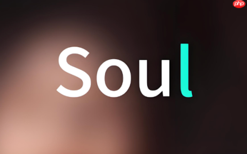 soul的群聊派对房主可以转让给别人吗_Soul群聊房主转让操作