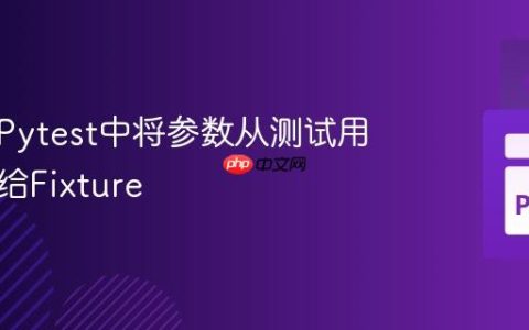 如何在Pytest中将参数从测试用例传递给Fixture