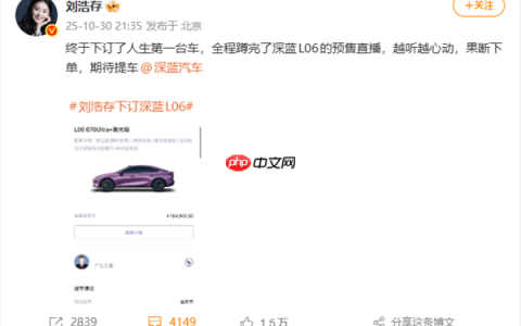 演员刘浩存订了人生第一台车：16万元的深蓝L06