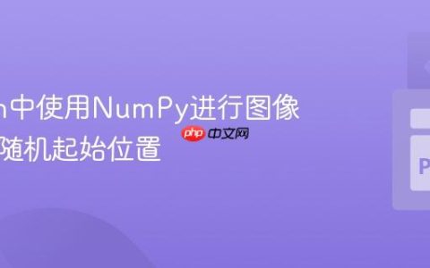 Python中使用NumPy进行图像切片的随机起始位置