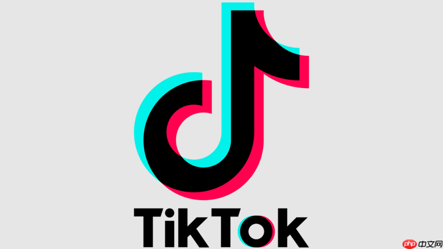 海外版TikTok官网入口_海外版TikTok官网入口直达在线观看