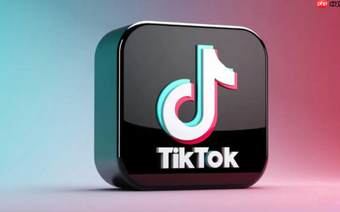 海外版TikTok加速访问_海外版TikTok加速访问在线观看