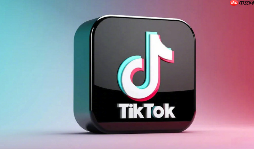 海外版TikTok加速访问_海外版TikTok加速访问在线观看