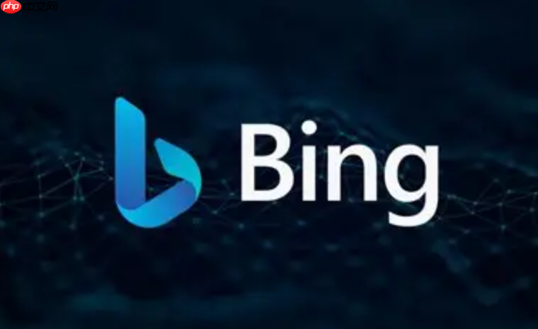 必应bing官网入口国际版 必应Bing国际版官网访问地址