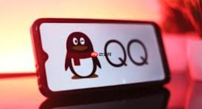 qq视频通话黑屏怎么办 qq视频通话修复与操作方法