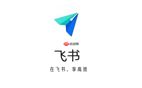 飞书群成员无法添加怎么办 飞书群成员管理修复技巧