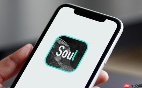 Soul聊天记录如何导出_Soul聊天记录导出详细教程