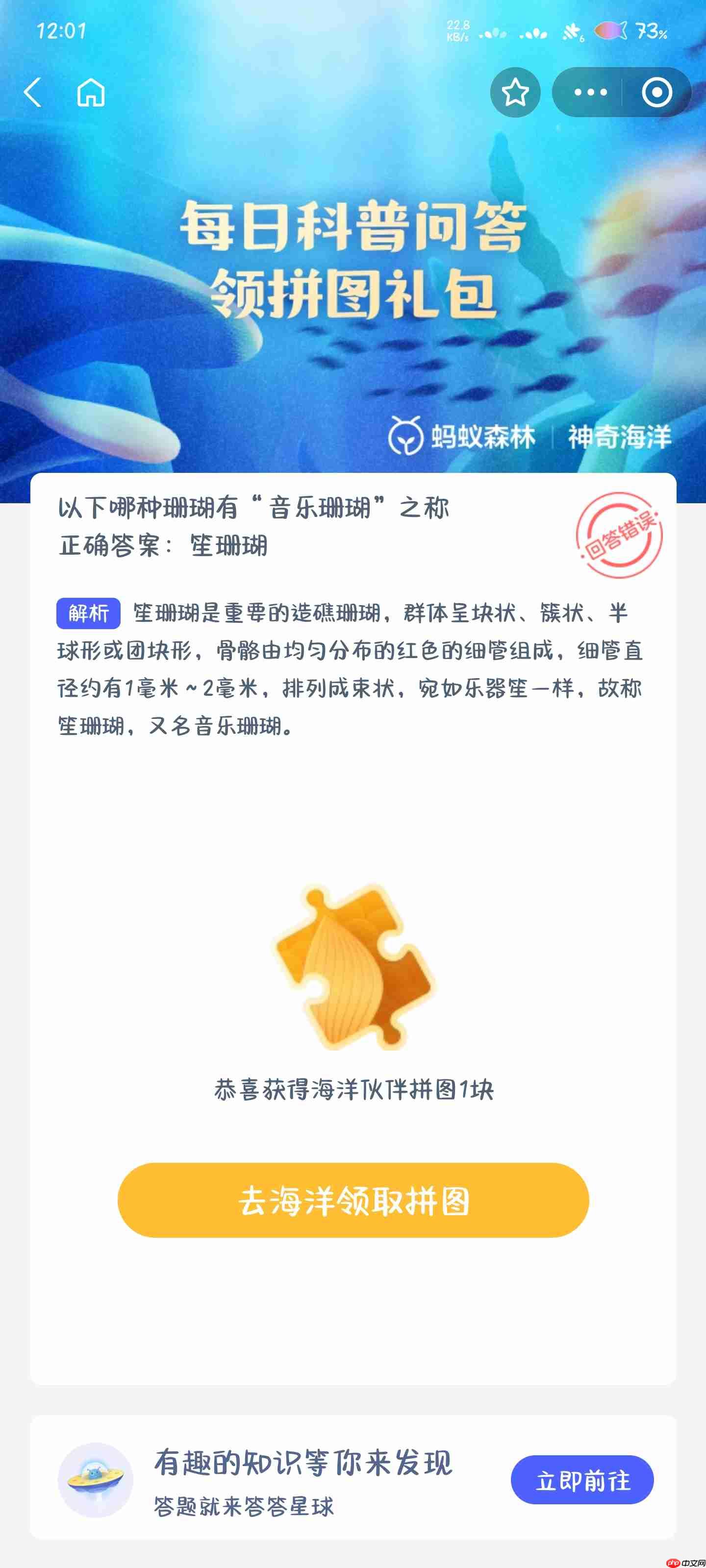 以下哪种珊瑚有音乐珊瑚之称