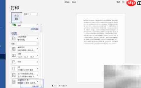 Word每行43字符设置方法